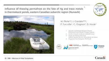 Influence of thawing permafrost on the fate of Hg and trace metals in thermokarst ponds, eastern Canadian subarctic region